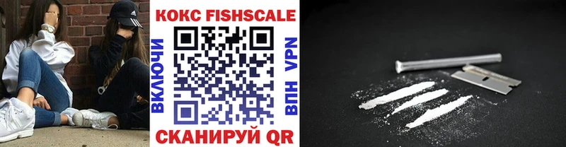 kraken tor  как найти   Находка  Cocaine Fish Scale 