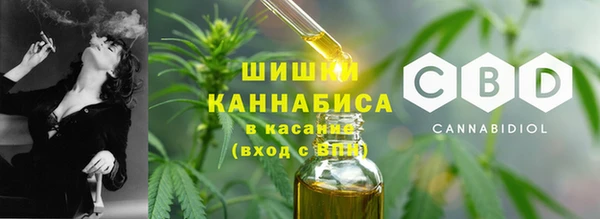 мдпв Магас