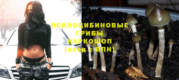 скорость Алексин
